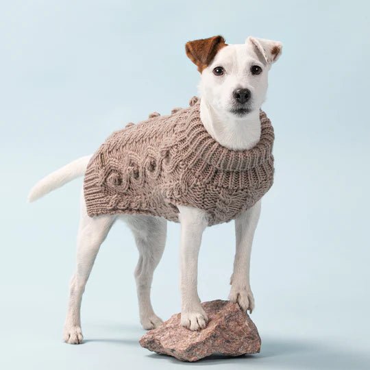 Knit Sweater in Taupe